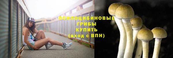 MESCALINE Володарск