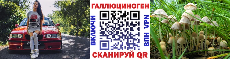 Купить закладки  Солигалич  Псилоцибиновые грибы Cubensis 
